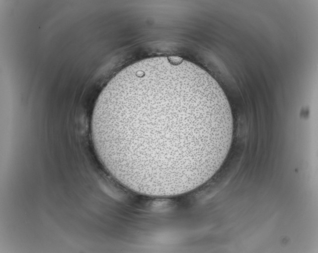 X0000090750173200708172034