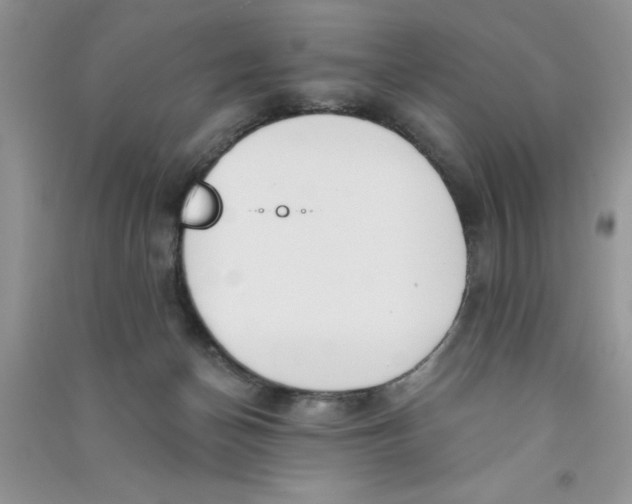 X0000090750174200708172034