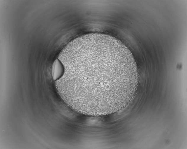 X0000090750175200708172034