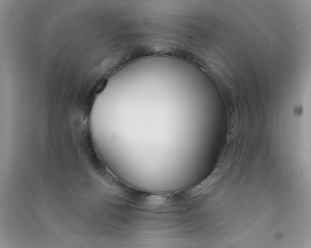 X0000090750176200708172034
