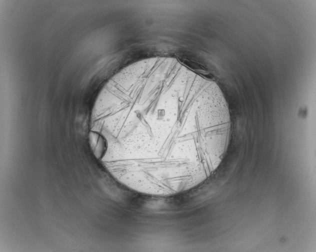 X0000090750177200708172034