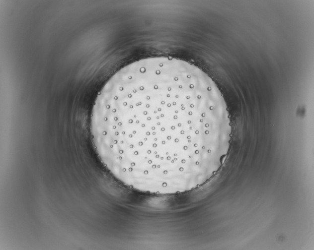 X0000090750178200708172034