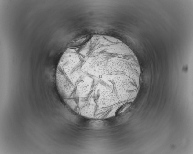 X0000090750181200708172034