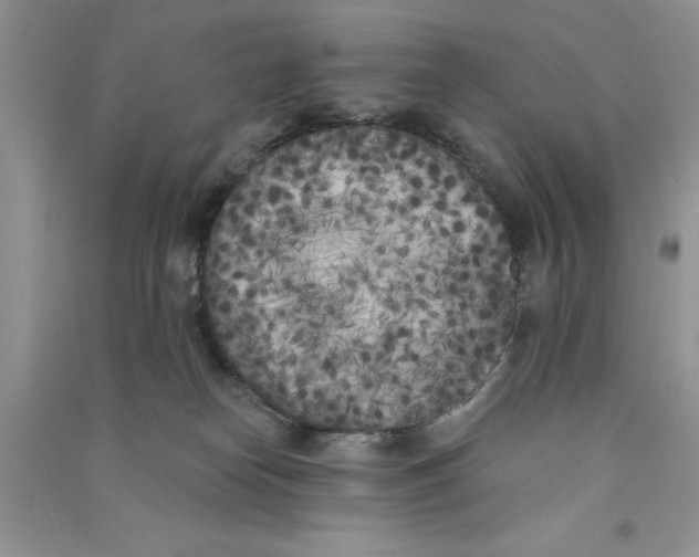 X0000090750182200708172035
