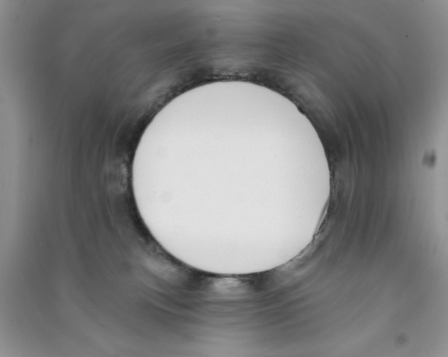 X0000090750183200708172035