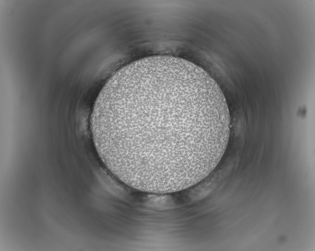 X0000090750185200708172035