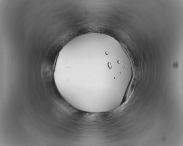 X0000090750186200708172035