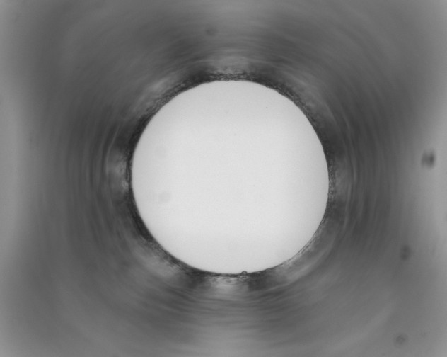 X0000090750187200708172035