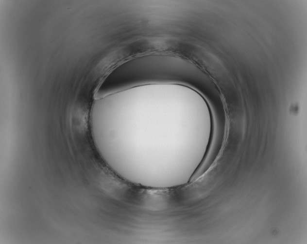 X0000090750188200708172035