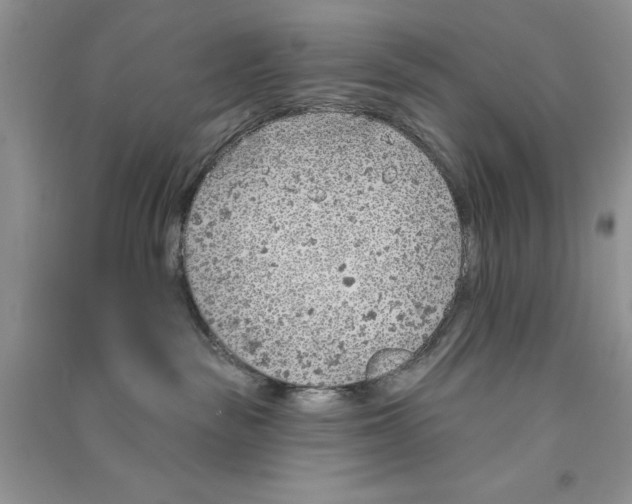 X0000090750189200708172035