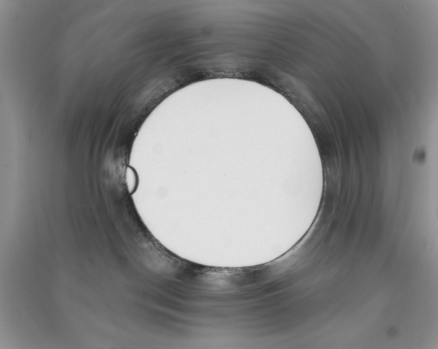 X0000090750190200708172035