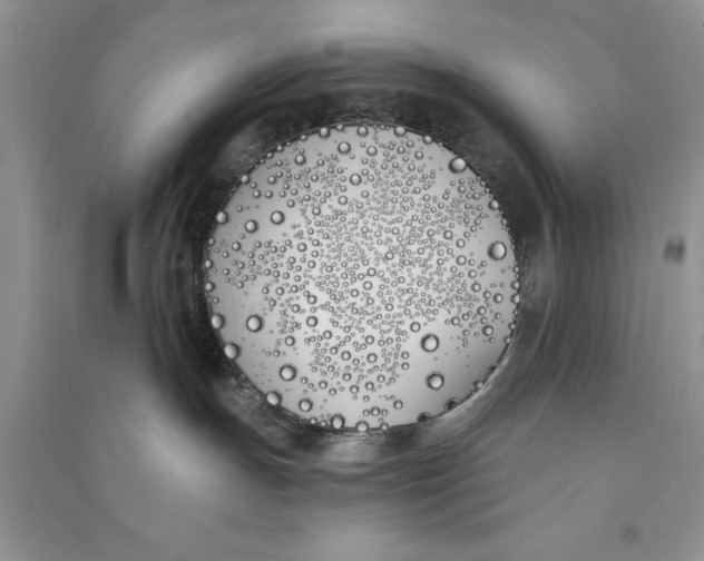 X0000090750191200708172035