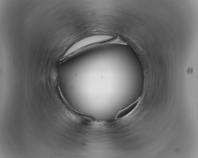 X0000090750192200708172035