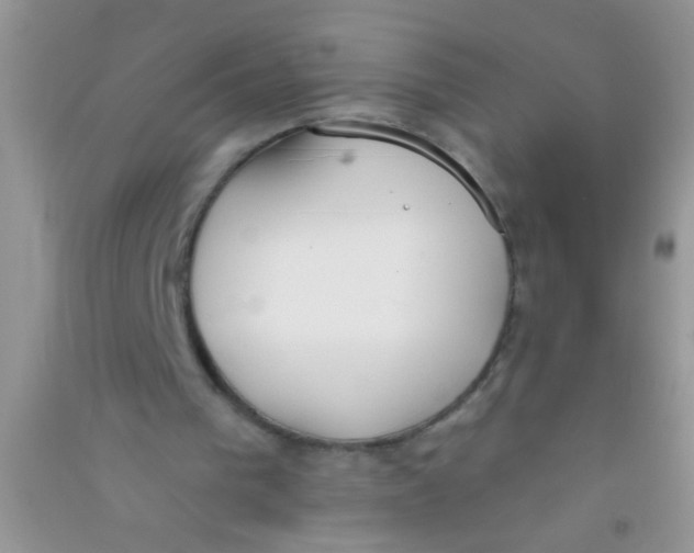 X0000090750193200708172034