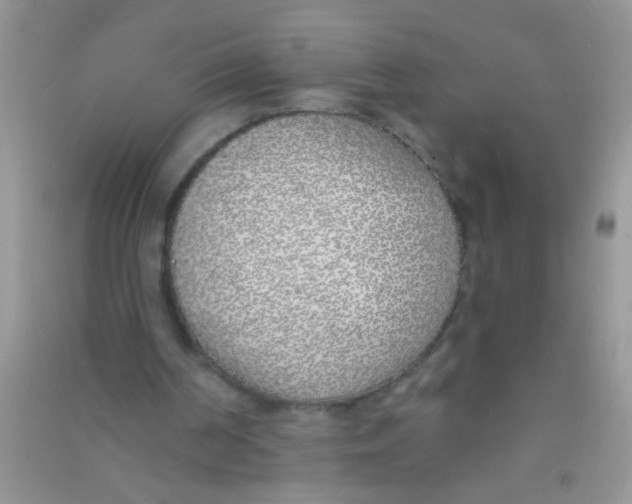 X0000090750194200708172034