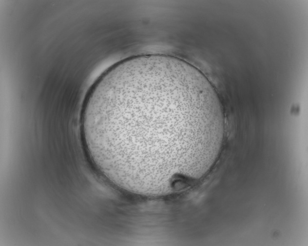X0000090750196200708172034