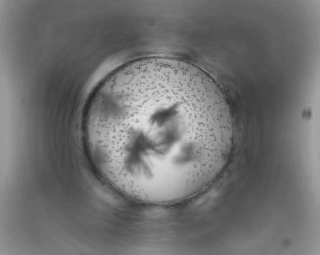 X0000090750198200708172034