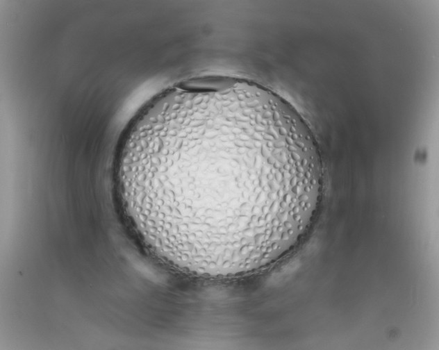 X0000090750199200708172034