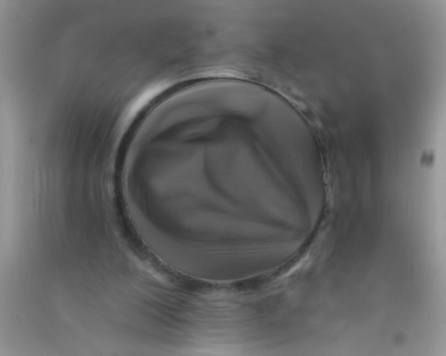 X0000090750200200708172034
