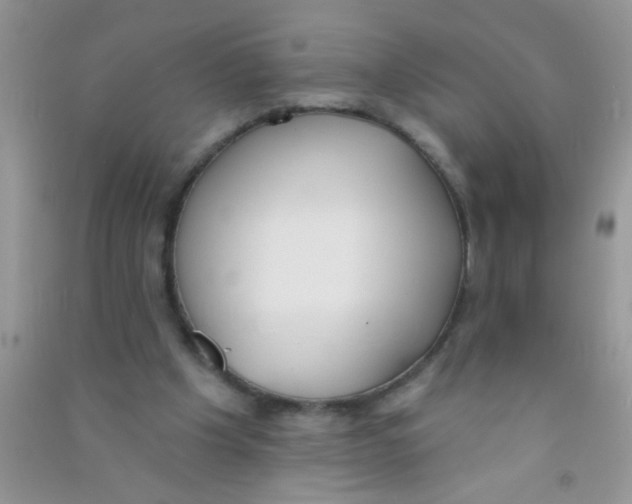 X0000090750201200708172034