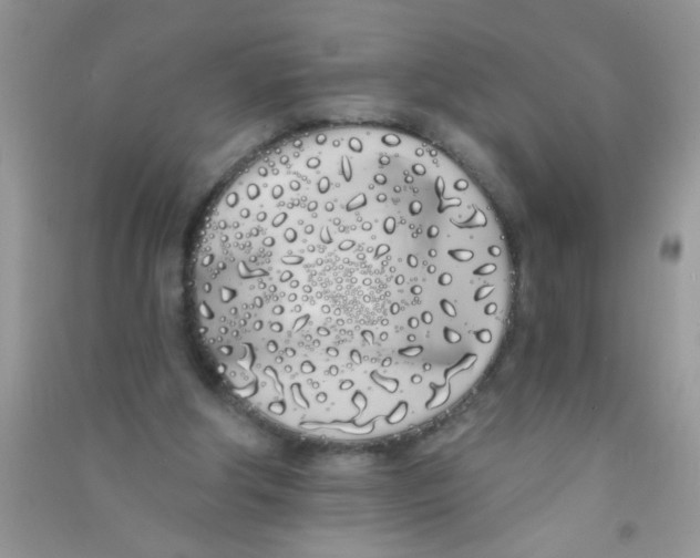 X0000090750202200708172034