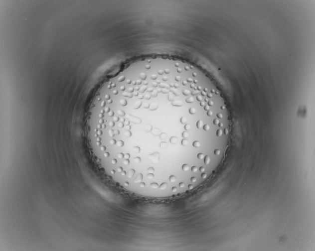 X0000090750203200708172034