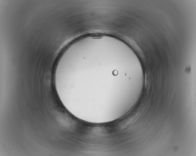 X0000090750204200708172034