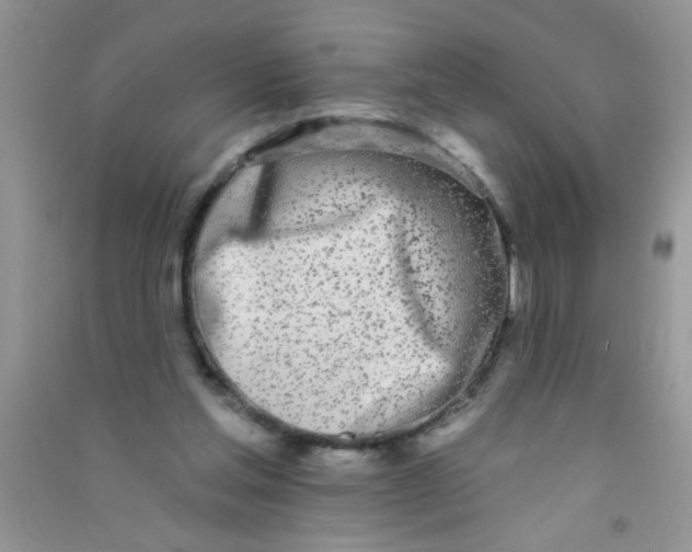 X0000090750205200708172034