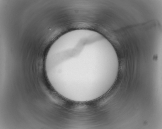 X0000090750206200708172034