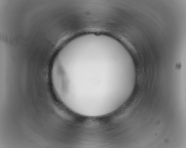 X0000090750207200708172034