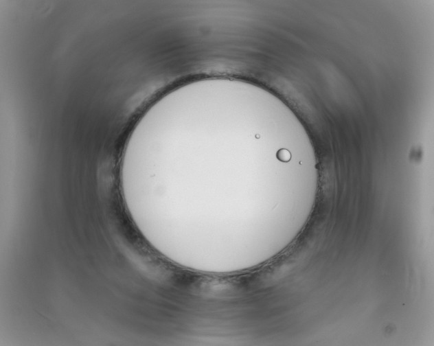 X0000090750208200708172034