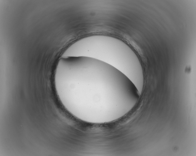 X0000090750209200708172034