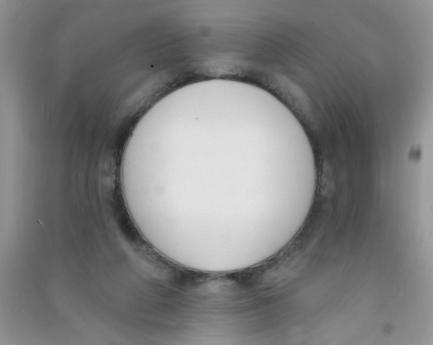 X0000090750210200708172034