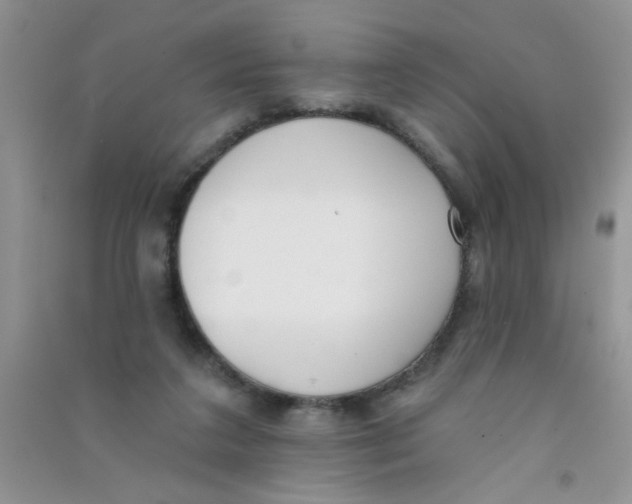 X0000090750211200708172034