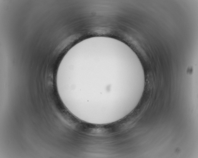 X0000090750212200708172034