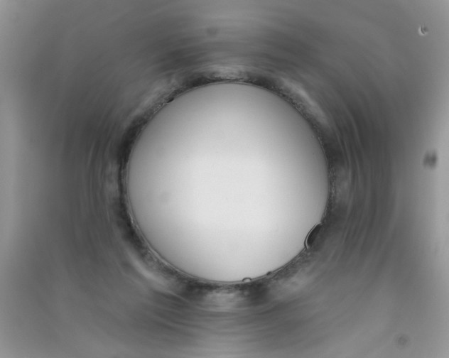 X0000090750213200708172034