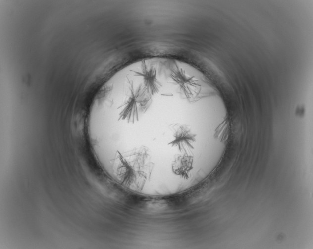 X0000090750214200708172034