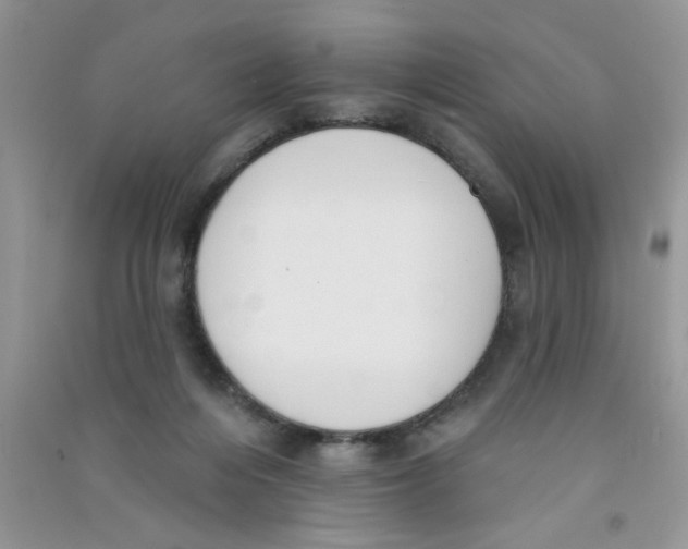 X0000090750216200708172034