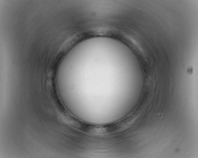 X0000090750217200708172034