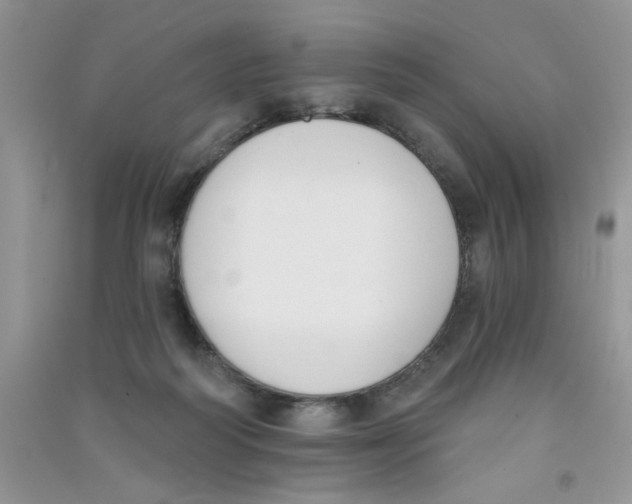 X0000090750218200708172034