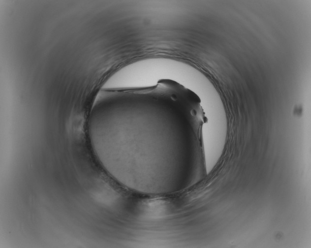 X0000090750219200708172034