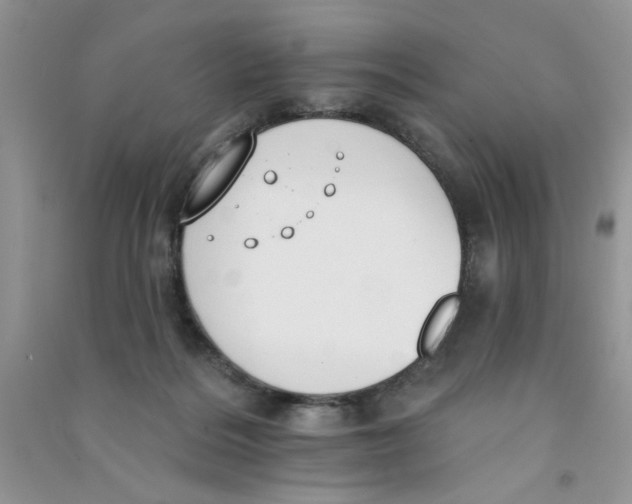 X0000090750220200708172034