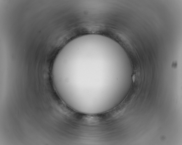 X0000090750221200708172034