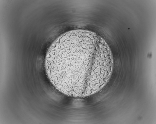X0000090750222200708172034