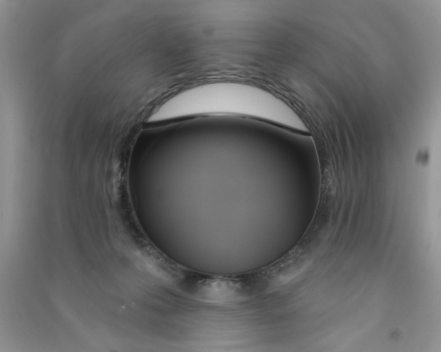 X0000090750223200708172034