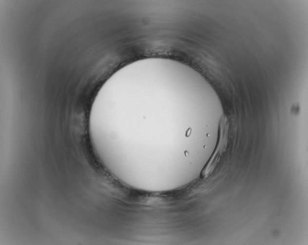 X0000090750224200708172034
