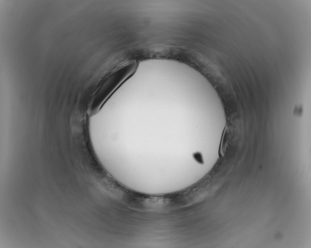 X0000090750225200708172034