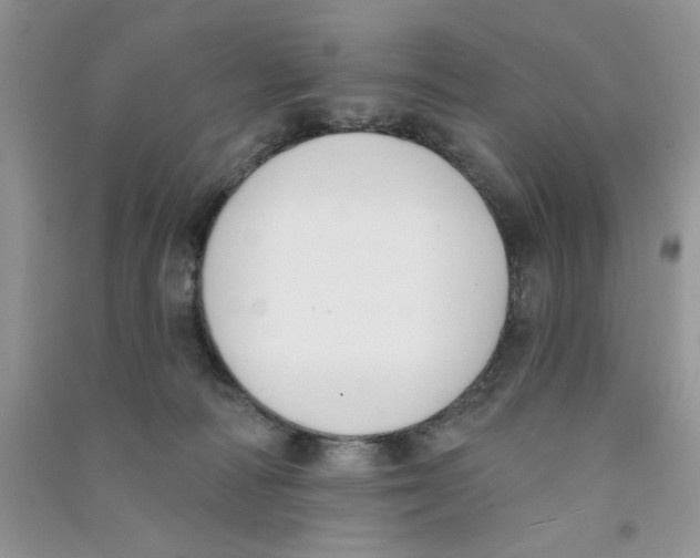 X0000090750226200708172034