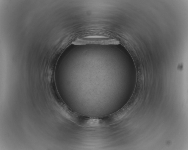 X0000090750227200708172034
