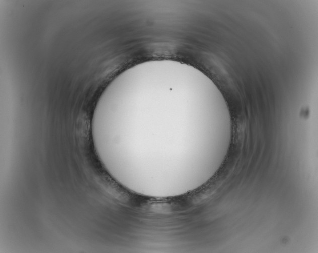 X0000090750228200708172034